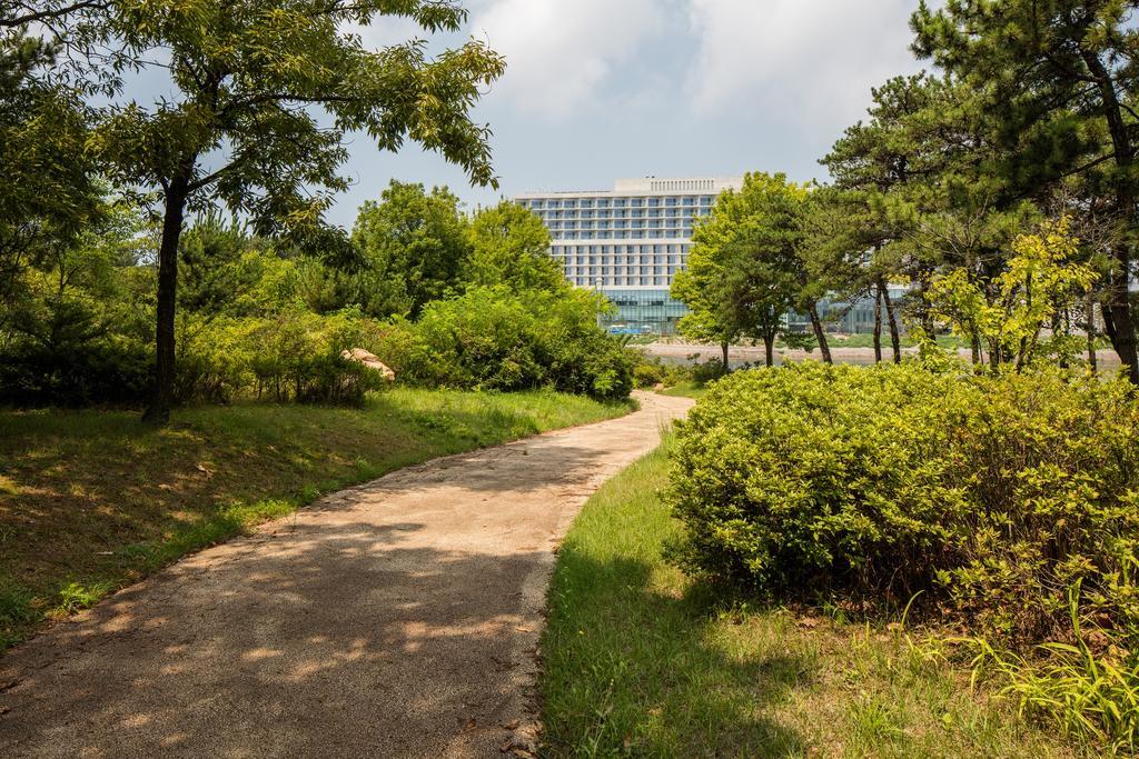 Nest Hotel